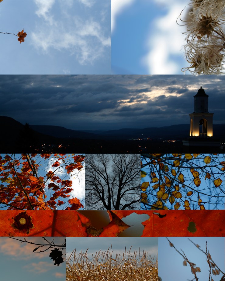 Photo Essay Fall on Blue